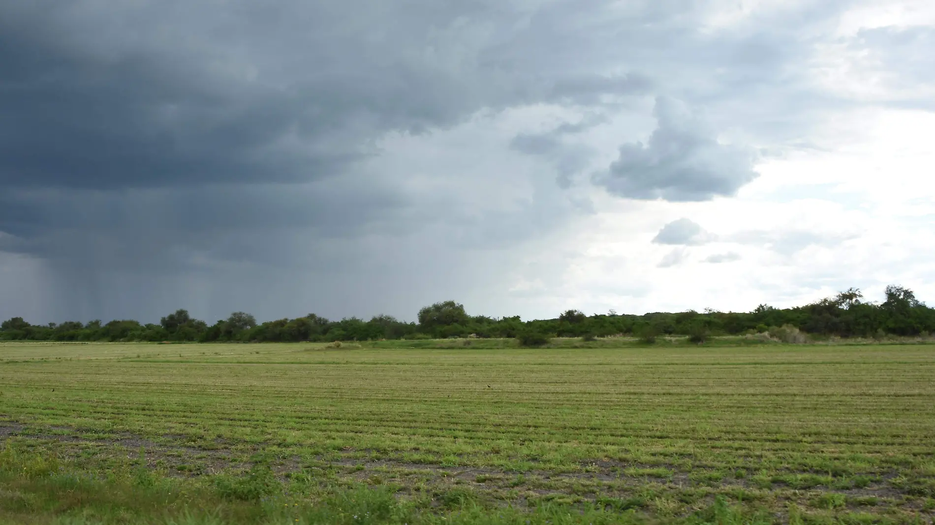 Requiere Guanajuato 20 días de lluvia diaria para resarcir efectos de la sequía (3)